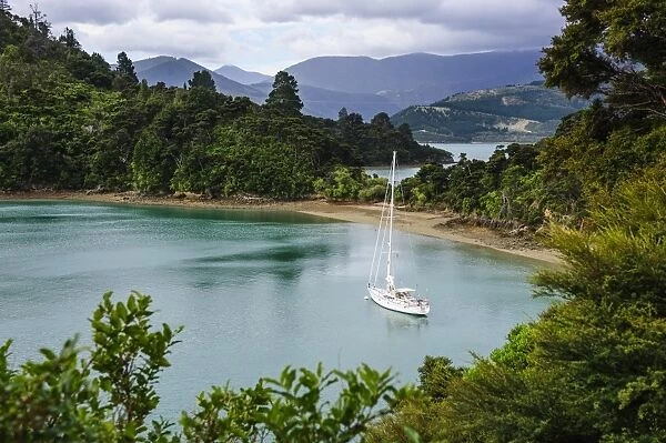 Sailing boat in the Marlborough Sounds, South Island, New Zealand, Pacific