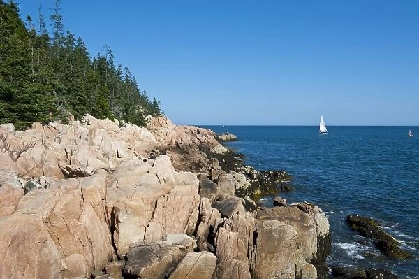 Sailing boat at the rocky cliffs of Bass Harbor Head Lighthouse, Acadia National Park, Maine, New England, United States of America, North America