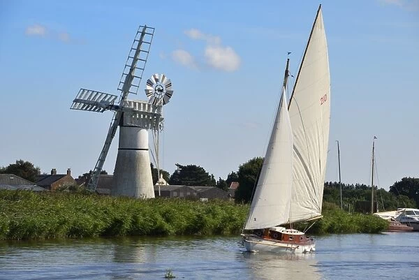 Sailing boat in front of Thurne Dyke Drainage Mill, windmill, Thurne, Norfolk, England, United Kingdom, Europe