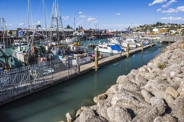 Sailing boats in Napier Harbour, Hawkes Bay Region, North Island, New Zealand, Pacific