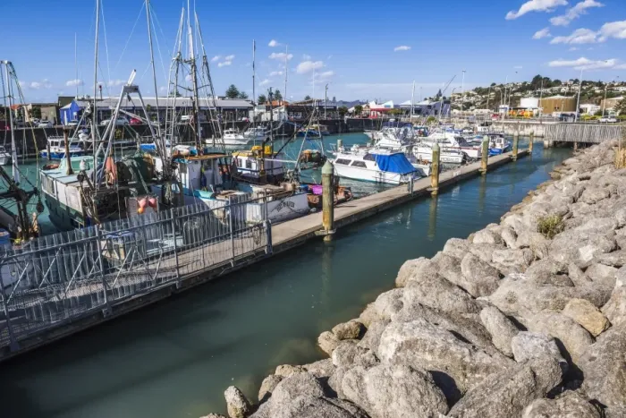 Framed Print : Sailing boats in Napier Harbour, Hawkes Bay Region, North Island, New Zealand, Pacific Framed Print : Sailing boats in Napier Harbour, Hawkes Bay Region, North Island, New Zealand, Pacific