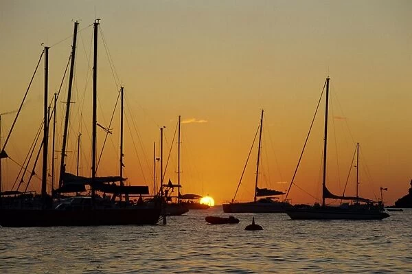 Sailing boats silhouetted, moored at dusk, Marigot, St