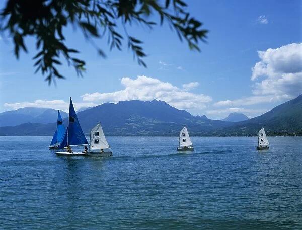 Sailing dinghies, Annecy, Lake Annecy, Rhone Alpes, France, Europe