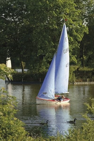 Sailing school, Arrow Valley Lake Country Park, Redditch, Worcestershire