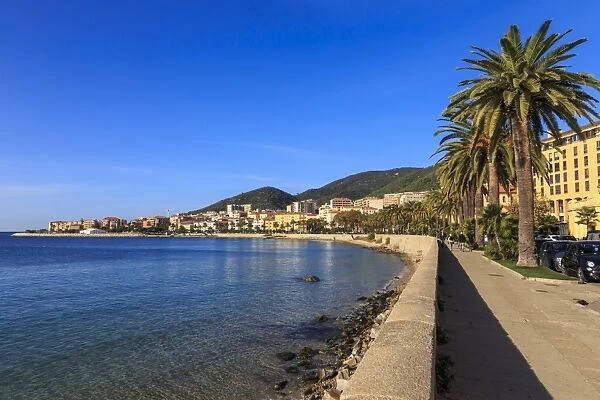 Saint Francois beach promenade with palm trees, morning light, Ajaccio, Island of Corsica