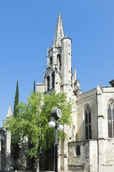 Saint Pierre Basilica, Avignon, Vaucluse, Provence, France, Europe