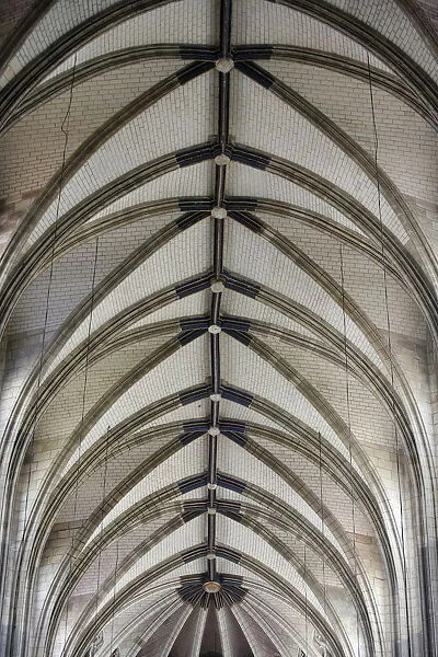 Sainte-Croix cathedral, Orleans, Loiret, France, Europe