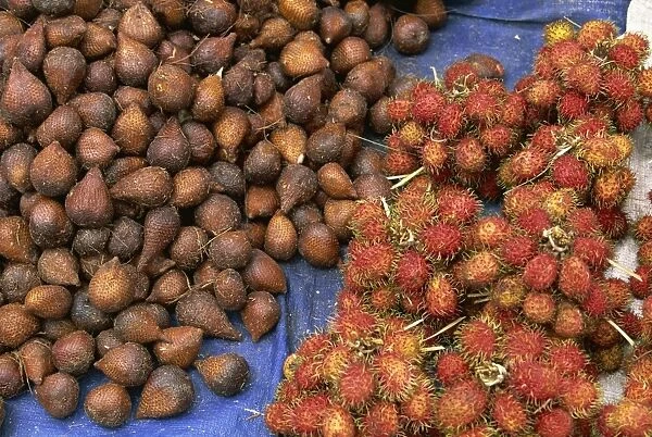 Salak and rambutan, the snakeskin and hairy tropical fruits in the market