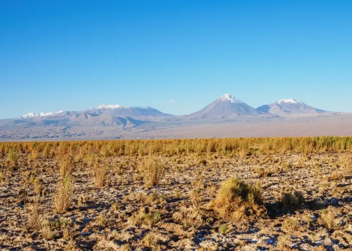 Framed Print : Salar de Atacama, Atacama Desert, Antofagasta Region, Chile, South America Framed Print : Salar de Atacama, Atacama Desert, Antofagasta Region, Chile, South America