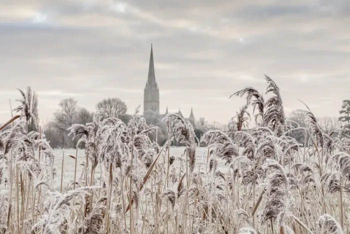 Framed Print : Salisbury athedral at dawn in winter, Salisbury, Wiltshire, England, United Kingdom Framed Print : Salisbury athedral at dawn in winter, Salisbury, Wiltshire, England, United Kingdom