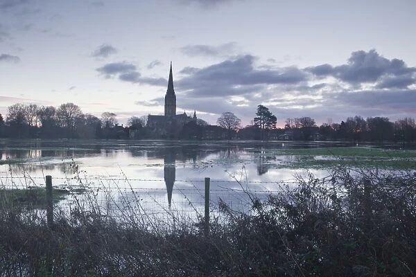 Salisbury Cathedral at dawn reflected in the flooded West Harnham Water Meadows, Salisbury, Wiltshire, England, United Kingdom, Europe