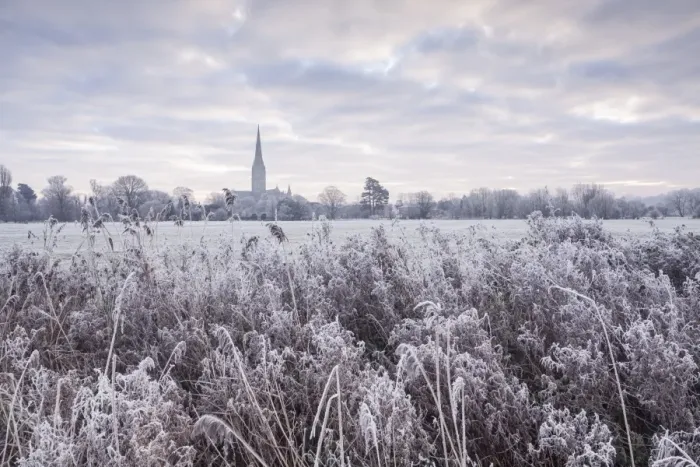 Framed Print : Salisbury Cathedral at dawn in winter, Salisbury, Wiltshire, England, United Kingdom Framed Print : Salisbury Cathedral at dawn in winter, Salisbury, Wiltshire, England, United Kingdom