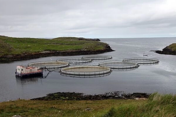 Salmon farm, Out Skerries, Shetland, Scotland, United Kingdom, Europe