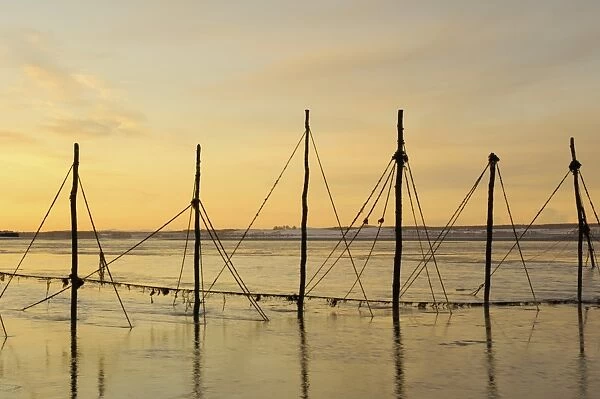 Salmon fishing nets, Solway Firth, near Creetown, Dumfries and Galloway, Scotland, United Kingdom, Europe