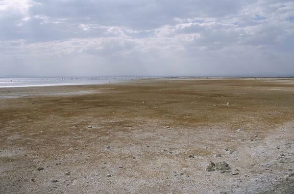 Salt flats, Abyata (Abiyata) Lake, Rift Valley, Ethiopia, Africa