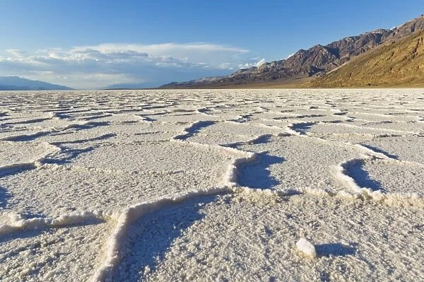 Salt pan polygons at Badwater Basin, 282ft below sea level and the lowest place in North America