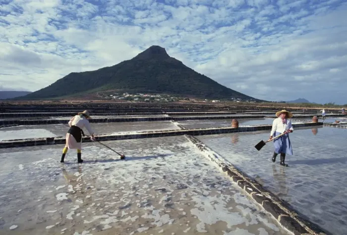 Framed Print : Salt pans, Mauritius, Indian Ocean, Africa Framed Print : Salt pans, Mauritius, Indian Ocean, Africa