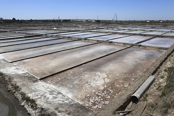 Salt is produced by evaporation under the sun in the salt pans of Aveiro