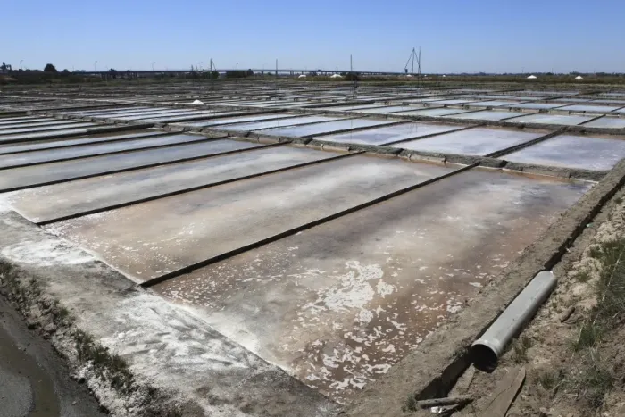 Framed Print : Salt is produced by evaporation under the sun in the salt pans of Aveiro Framed Print : Salt is produced by evaporation under the sun in the salt pans of Aveiro