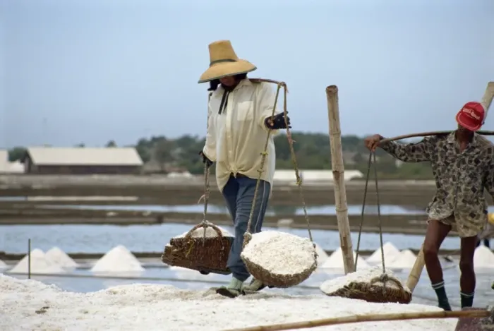 Framed Print : Salt workers Framed Print : Salt workers