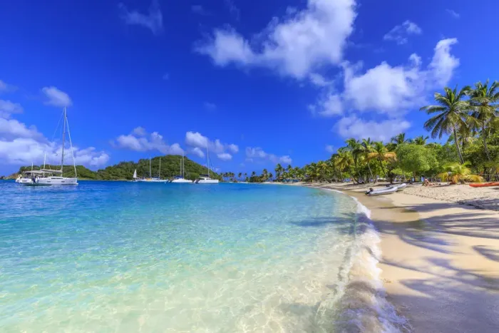 Framed Print : Saltwhistle Bay, white sand beach, turquoise sea, yachts, palm trees, Mayreau, Grenadines Framed Print : Saltwhistle Bay, white sand beach, turquoise sea, yachts, palm trees, Mayreau, Grenadines