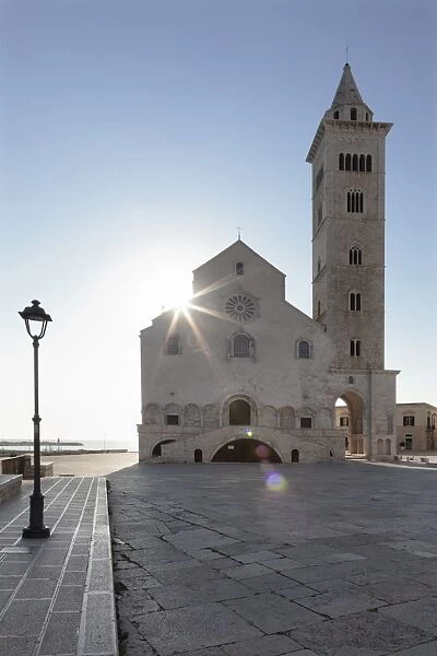 San Nicola Pellegrino cathedral, Piazza del Duomo, Trani, Le Murge, Barletta-Andria-Trani district