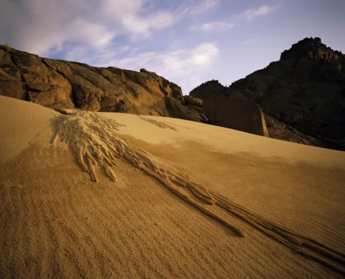 Framed Print : A sand avalanche after a rainstorm in the Sahara Desert, Algeria, North Africa, Africa Framed Print : A sand avalanche after a rainstorm in the Sahara Desert, Algeria, North Africa, Africa