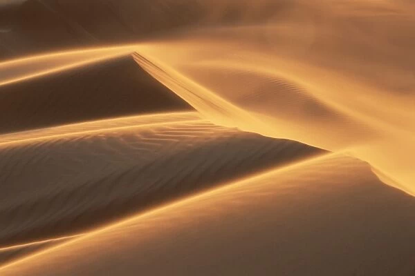 Sand blowing on crest of dune in Erg Chebbi