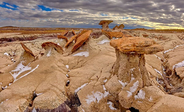 Sand Castle formations on the edge of the Red Basin in Petrified Forest National Park
