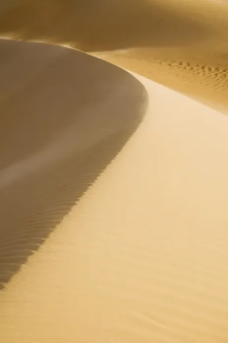 Framed Print : Sand dune, The Great Sand Sea, Western Desert, Egypt, North Africa, Africa Framed Print : Sand dune, The Great Sand Sea, Western Desert, Egypt, North Africa, Africa