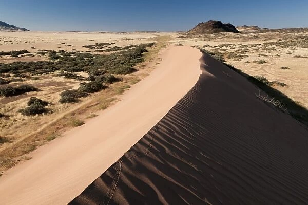 Sand dune, Huab River Valley, Torra Conservancy, Damaraland, Namibia, Africa