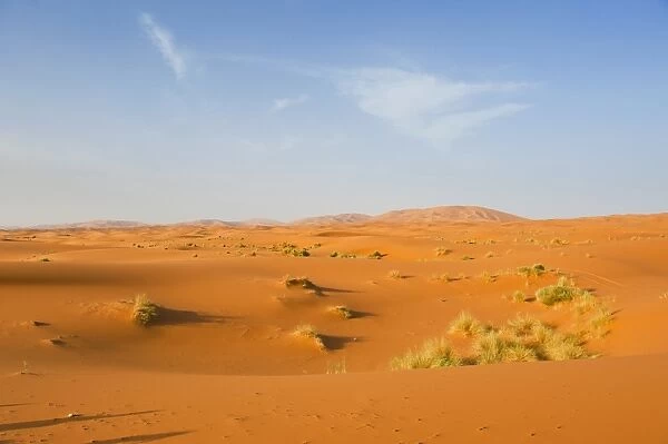 Sand dune landscape at Erg Chebbi Desert, Sahara Desert near Merzouga, Morocco, North Africa, Africa