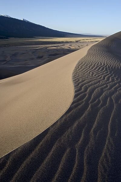 Sand dune ridge at dawn