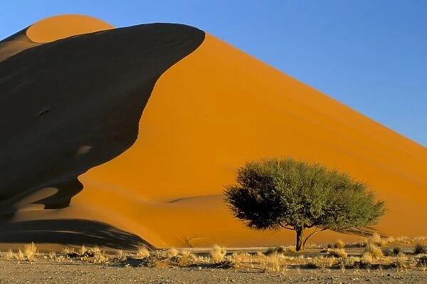 Sand dune, Sossusvlei dune field