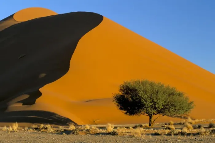 Framed Print : Sand dune, Sossusvlei dune field Framed Print : Sand dune, Sossusvlei dune field