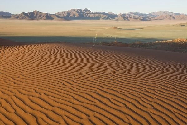 Sand dune, Wolvedans, Namib Rand Nature Reserve, Namibia, Africa