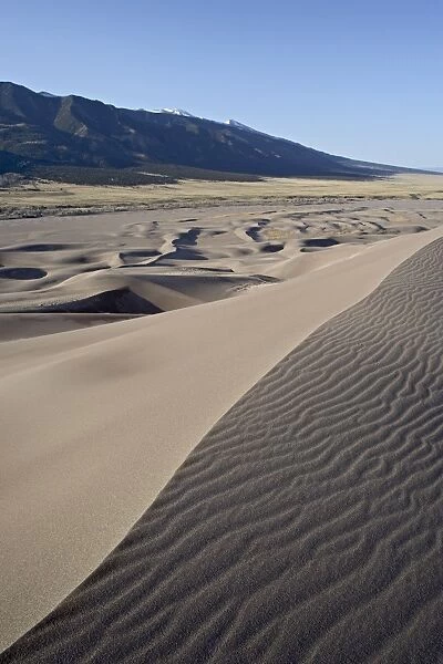 Sand dunes at dawn