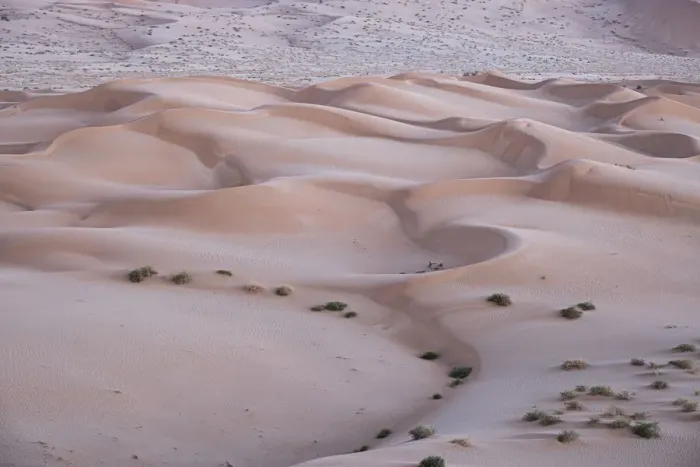 Framed Print : Sand dunes detail before dawn in the Rub al Khali desert, Oman, Middle East Framed Print : Sand dunes detail before dawn in the Rub al Khali desert, Oman, Middle East