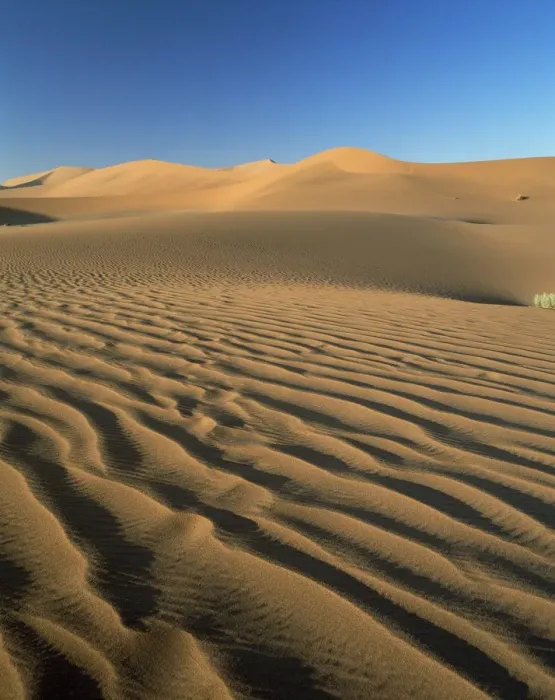 Framed Print : Sand dunes and dune sea Framed Print : Sand dunes and dune sea