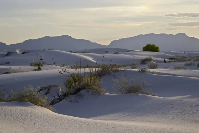 Framed Print : Sand dunes at dusk, White Sands National Monument, New Mexico, United States of America Framed Print : Sand dunes at dusk, White Sands National Monument, New Mexico, United States of America