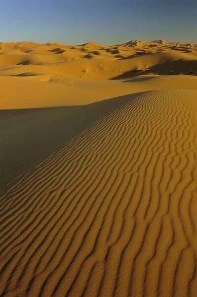 Sand dunes of the Erg Chebbi