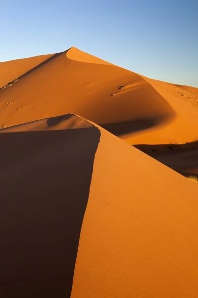 Sand dunes of Erg Chebbi, Merzouga, Meknes-Tafilalet, Morocco, North Africa, Africa