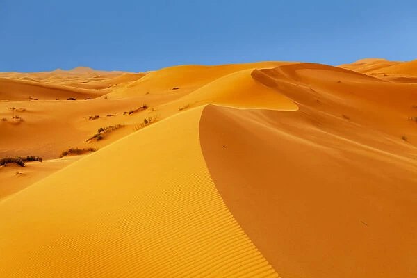 Sand Dunes, Erg Chebbi, Sahara Desert, Southern Morocco, Morocco, North Africa, Africa