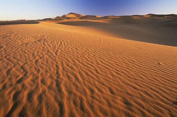 Sand dunes in Erg Chebbi sand sea
