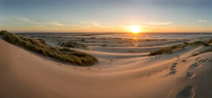 Framed Print : Sand dunes, grass, and driftwood at sunset on the Oregon coast, Oregon, United States of America Framed Print : Sand dunes, grass, and driftwood at sunset on the Oregon coast, Oregon, United States of America
