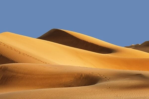 Sand dunes of Maspalomas at sunset, Maspalomas, Gran Canaria, Canary Islands, Spain, Atlantic, Europe
