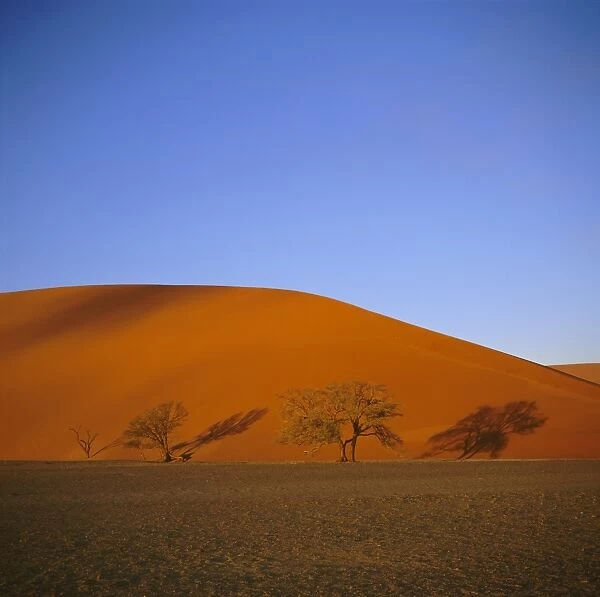 Sand dunes near Sossusvlei