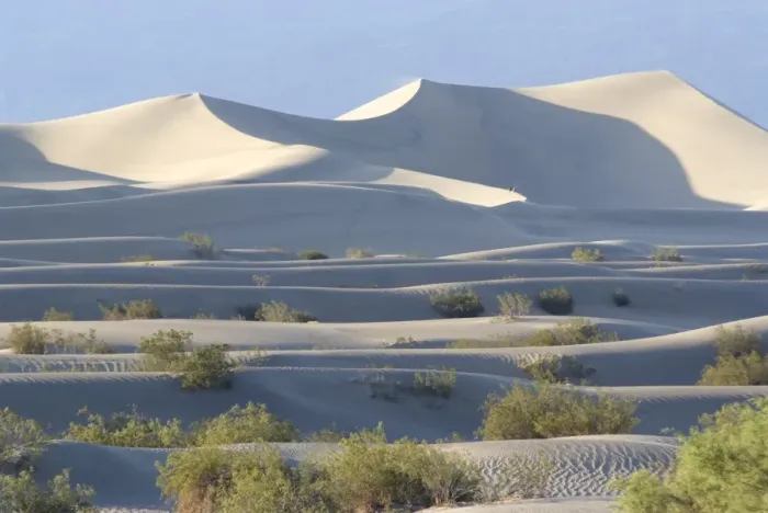Framed Print : Sand dunes near Stovepipe Wells Framed Print : Sand dunes near Stovepipe Wells