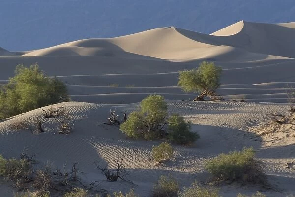 Sand dunes near Stovepipe Wells