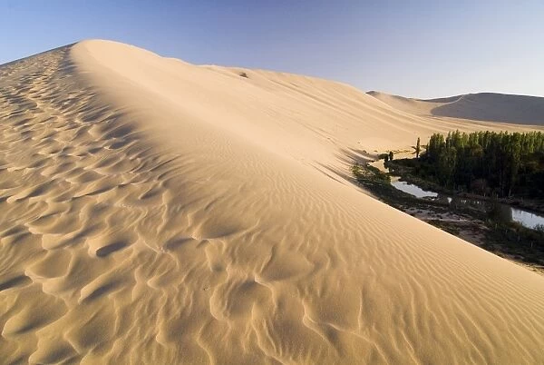 Sand dunes and oasis, desert, Dunhuang, Gansu, China, Asia